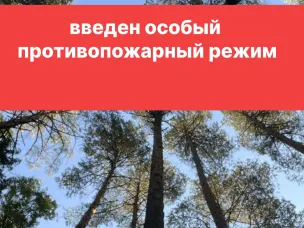 С 1 мая на территории Нижегородской области, в том числе Выксунского городского округа введен особый противопожарный режим